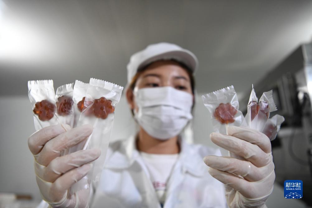 万能捕鱼干扰器